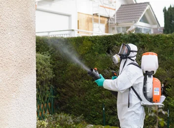 societe de désinsectisation Casablanca