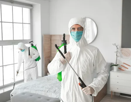 Inspection et diagnostic des insectes 