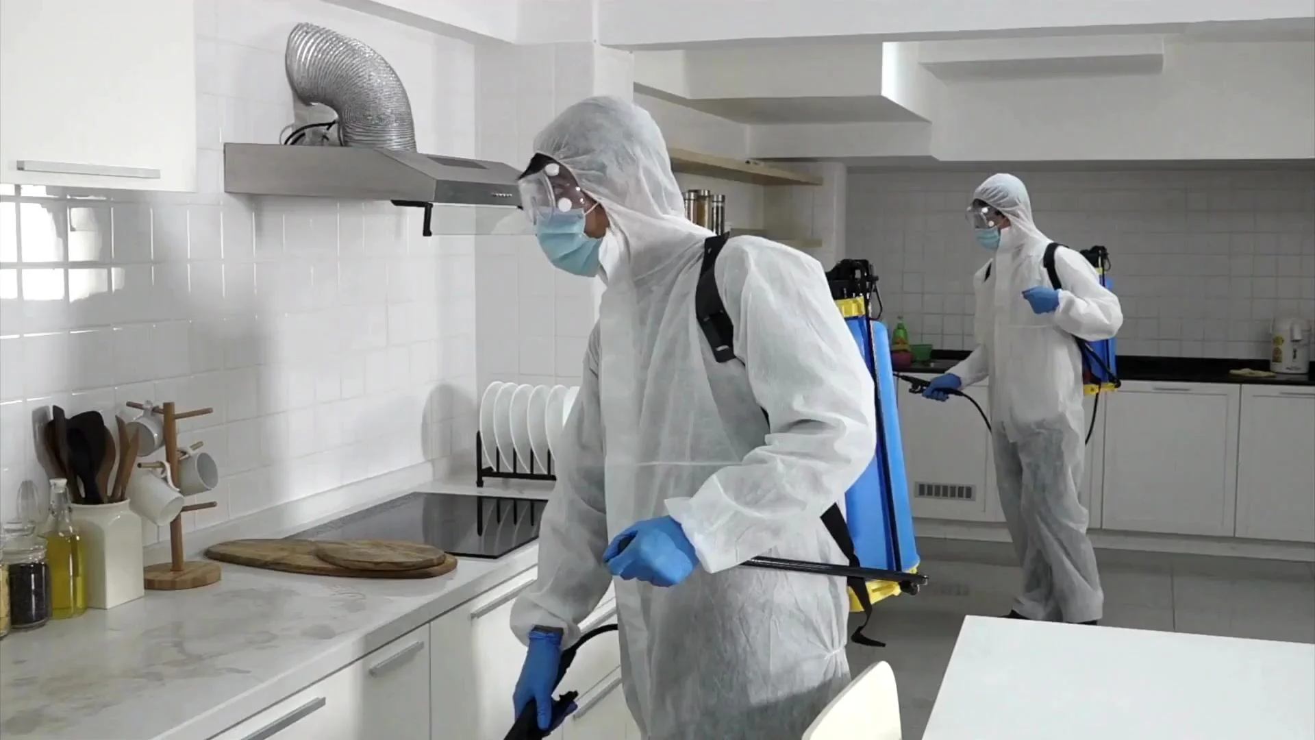 société de dératisation à casablanca Maroc