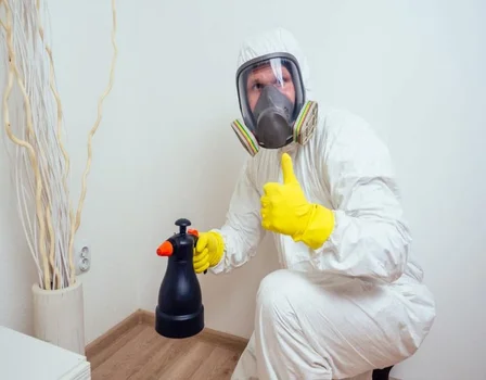 Désinfection à Casablanca