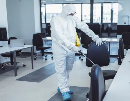 Société de traitement contre fourmis à Casablanca Maroc